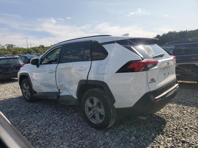 2T3P1RFV6PW338950 - 2023 TOYOTA RAV4 XLE 白色 照片 2