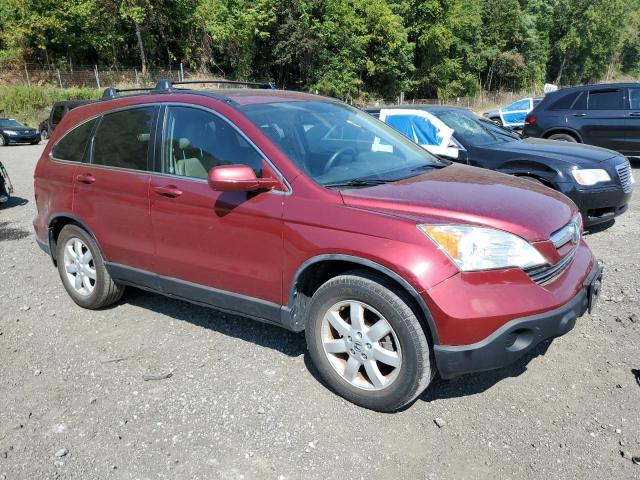JHLRE48767C044310 - 2007 HONDA CR-V EXL RED photo 4