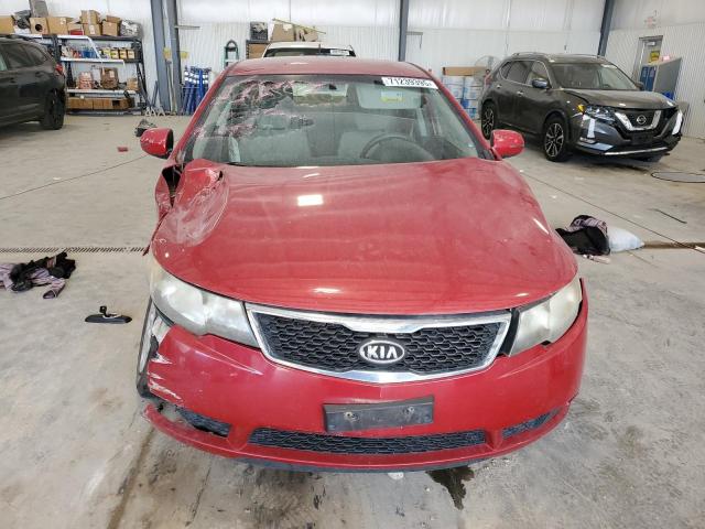 KNAFU4A28D5728001 - 2013 KIA FORTE EX RED photo 5