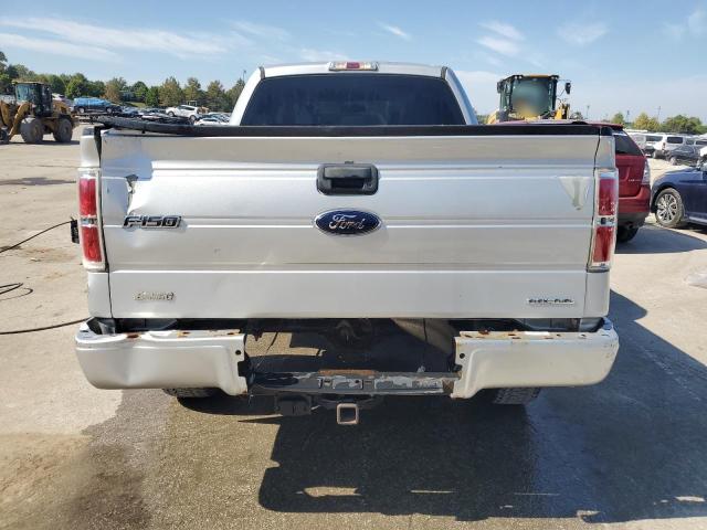 1FTEX1EM8EKG48104 - 2014 FORD F150 SUPER CAB SILVER photo 6