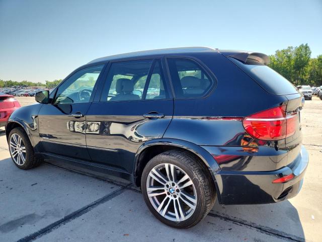 5UXZV4C55CL765519 - 2012 BMW X5 XDRIVE35I BLUE photo 2