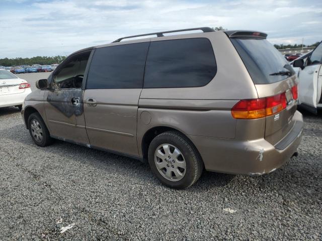 5FNRL18663B015637 - 2003 HONDA ODYSSEY EX GOLD photo 2