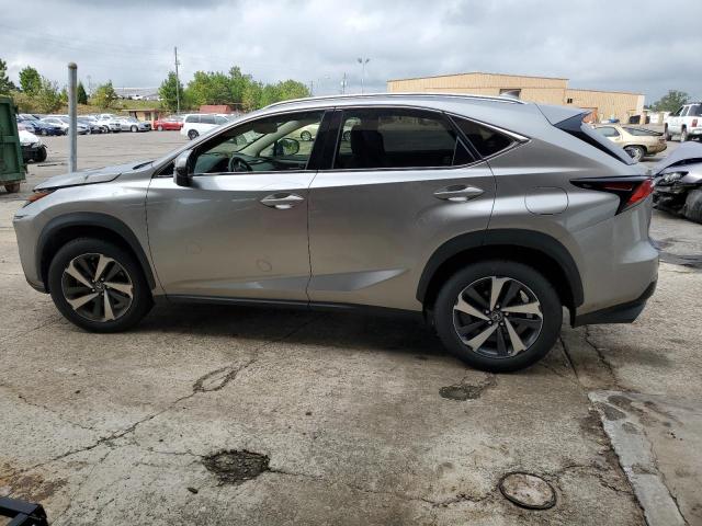 JTJGARBZ3M2183784 - 2021 LEXUS NX 300 BASE Bej foto 2