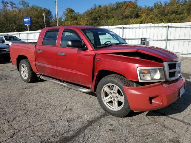 1D7CW3GP1AS121275 - 2010 DODGE DAKOTA SXT RED photo 4