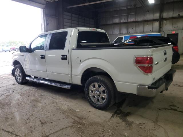 1FTEW1C89AFD88548 - 2010 FORD F150 CC 4X SUPERCREW WHITE photo 2