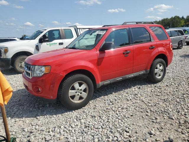 2009 FORD ESCAPE XLT, 