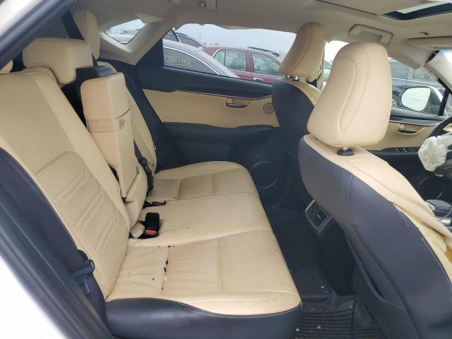 JTJBARBZ2K2190829 - 2019 LEXUS NX 300 BASE Սպիտակ լուսանկար 10