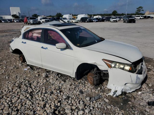 1HGCP36818A012821 - 2008 HONDA ACCORD EXL WHITE photo 4