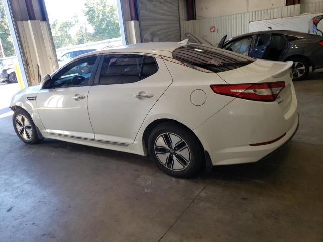 KNAGM4AD8C5035742 - 2012 KIA OPTIMA HYBRID WHITE photo 2