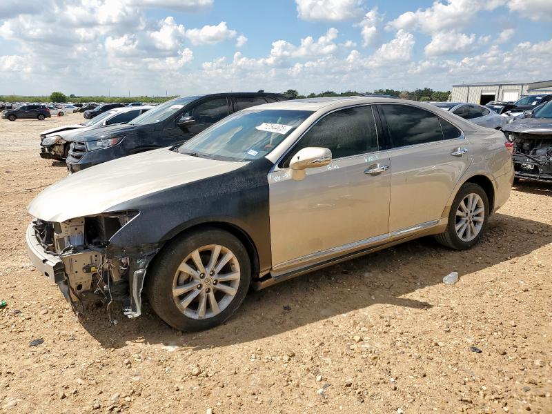 2010 LEXUS ES 350, 
