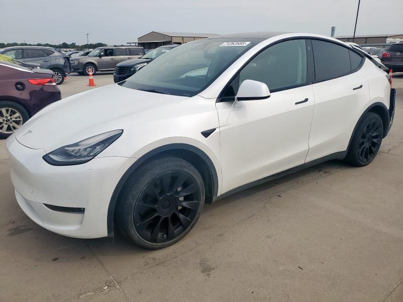 2023 TESLA MODEL Y, 
