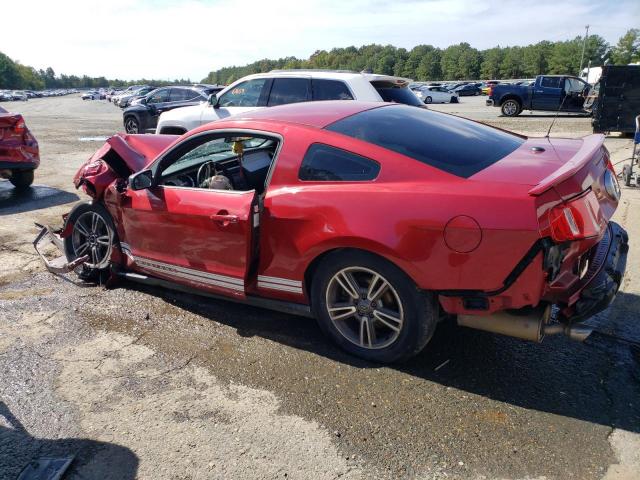 1ZVBP8AM5C5205662 - 2012 FORD MUSTANG RED photo 2