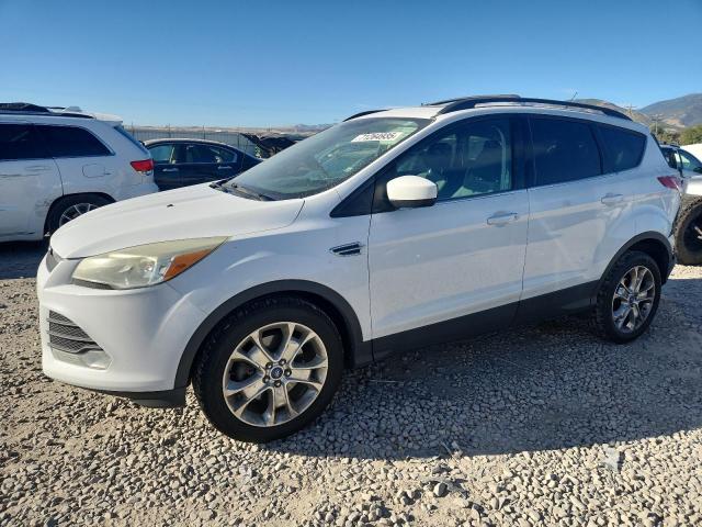 2013 FORD ESCAPE SE, 