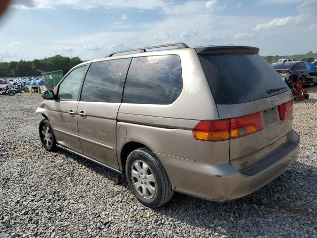 5FNRL18013B102129 - 2003 HONDA ODYSSEY EXL TAN photo 2