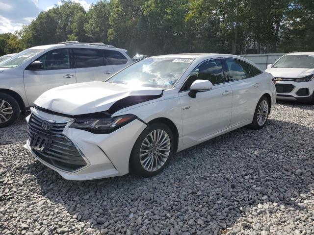 2019 TOYOTA AVALON XLE, 