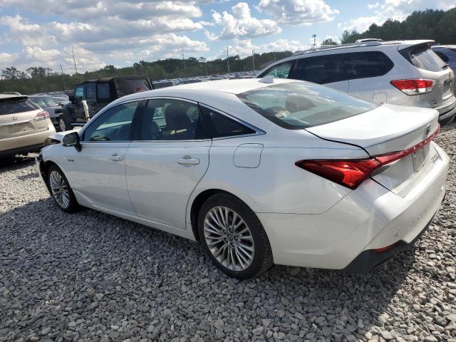 4T1B21FB5KU003646 - 2019 TOYOTA AVALON XLE WHITE photo 2