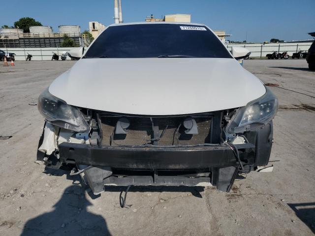 4T1BK1EB4DU008079 - 2013 TOYOTA AVALON BASE Biały zdjęcie 5