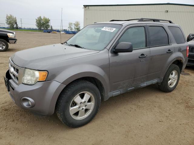 2012 FORD ESCAPE XLT, 