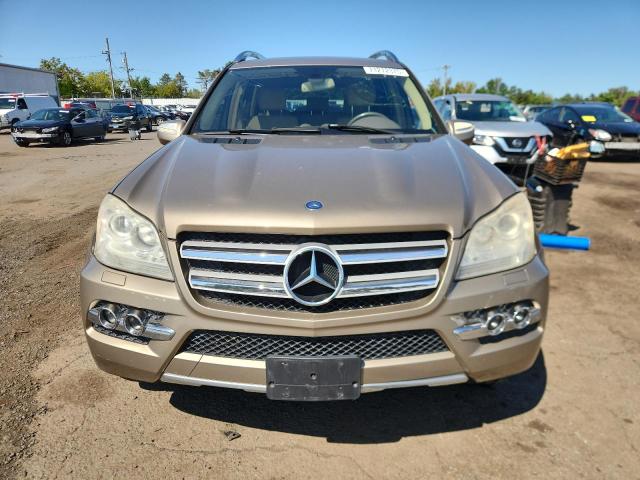4JGBF7BE9AA538955 - 2010 MERCEDES-BENZ GL 450 4MATIC TAN photo 5