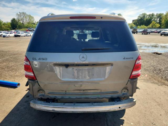 4JGBF7BE9AA538955 - 2010 MERCEDES-BENZ GL 450 4MATIC TAN photo 6