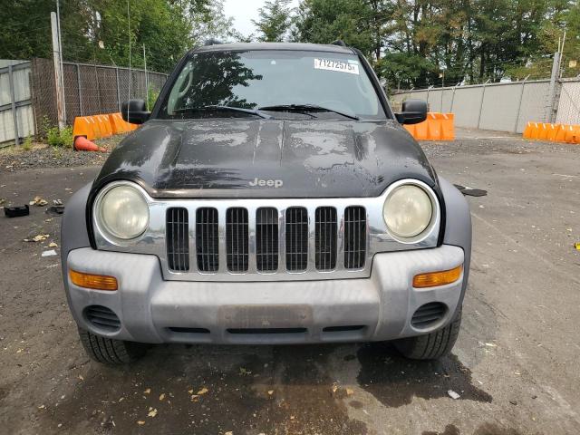 1J4GK48K44W257052 - 2004 JEEP LIBERTY SPORT BLACK photo 5
