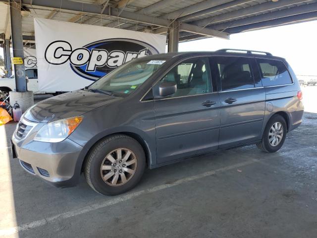 2010 HONDA ODYSSEY EXL, 