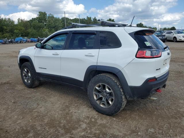 1C4PJMBX8KD188453 - 2019 JEEP CHEROKEE TRAILHAWK WHITE photo 2