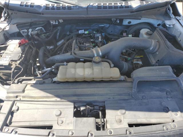 1FTMF1CP4KKD68865 - 2019 FORD F150 白色 照片 11