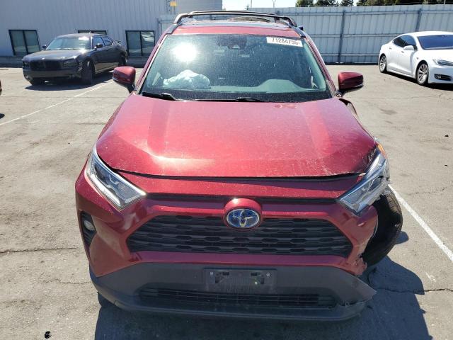 2T3RWRFV1KW015473 - 2019 TOYOTA RAV4 XLE برغندي صورة 5