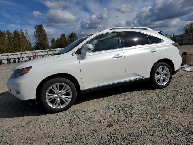 JTJBC1BA4A2412730 - 2010 LEXUS RX 450H WHITE photo 1