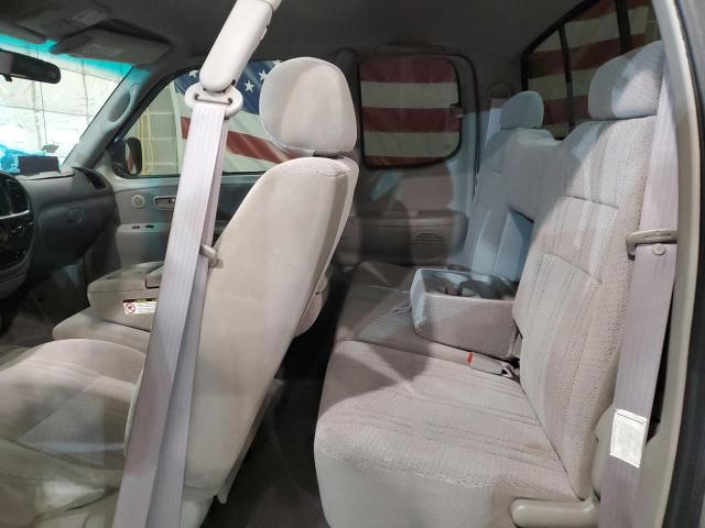 5TBBT44162S250443 - 2002 TOYOTA TUNDRA ACCESS CAB ნაცრისფერი ფოტო 10