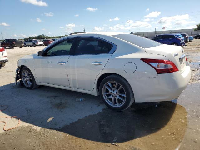 1N4AA5AP0BC823402 - 2011 NISSAN MAXIMA S თეთრი ფოტო 2