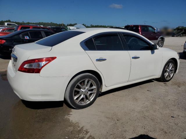1N4AA5AP0BC823402 - 2011 NISSAN MAXIMA S თეთრი ფოტო 3