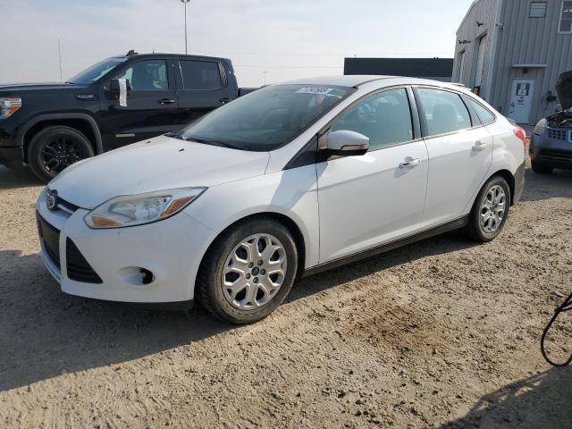 2013 FORD FOCUS SE, 