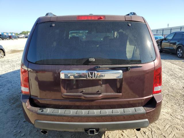 5FNYF3H52BB047053 - 2011 HONDA PILOT EXL Bordo foto 6