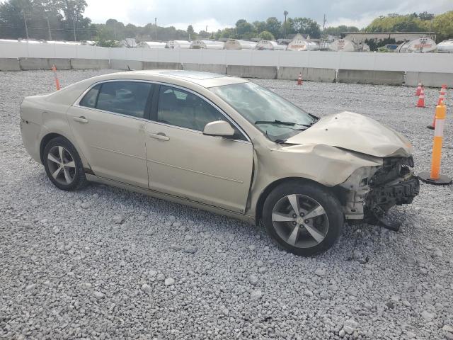 1G1ZJ57B294219114 - 2009 CHEVROLET MALIBU 2LT თაფლისფერი ფოტო 4