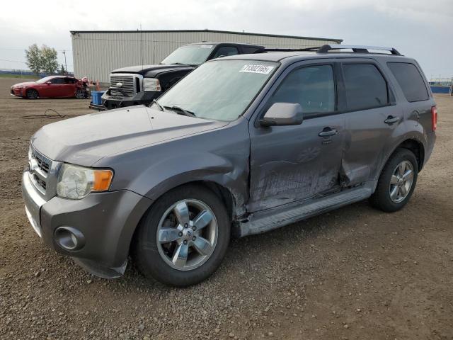 2010 FORD ESCAPE LIMITED, 