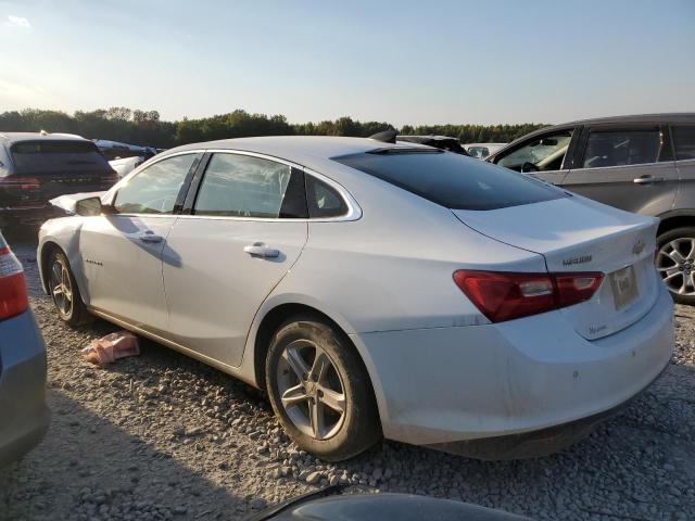 1G1ZC5ST4PF147912 - 2023 CHEVROLET MALIBU LS WHITE photo 2