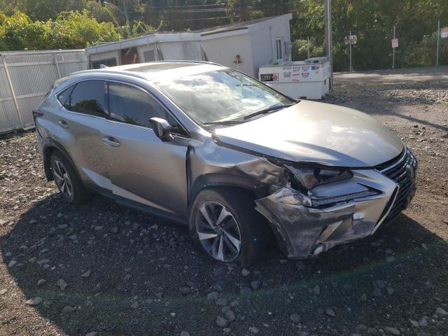 JTJBARBZ9K2199804 - 2019 LEXUS NX 300 BASE 米色 照片 4