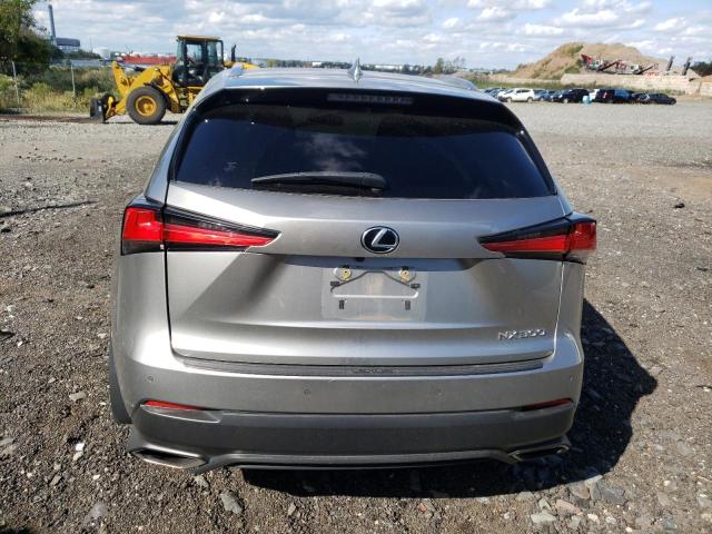 JTJBARBZ9K2199804 - 2019 LEXUS NX 300 BASE 米色 照片 6