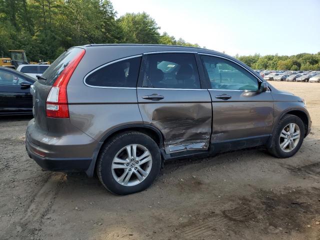 5J6RE4H73AL033991 - 2010 HONDA CR-V EXL GRAY photo 3