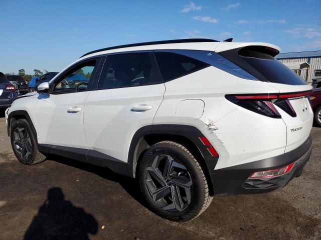 KM8JCCD11RU184284 - 2024 HYUNDAI TUCSON SEL CONVENIENCE WHITE photo 2