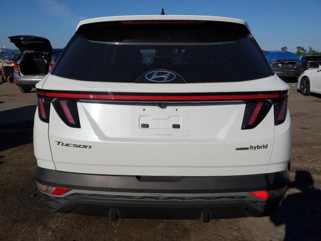 KM8JCCD11RU184284 - 2024 HYUNDAI TUCSON SEL CONVENIENCE WHITE photo 6