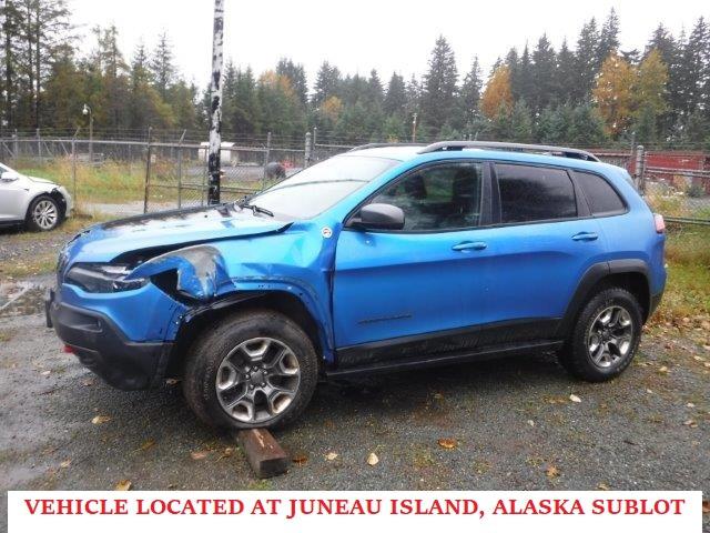 1C4PJMBN8KD188869 - 2019 JEEP CHEROKEE TRAILHAWK BLUE photo 1