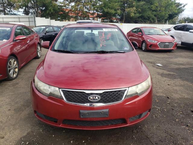 KNAFU4A2XC5586121 - 2012 KIA FORTE EX RED photo 5