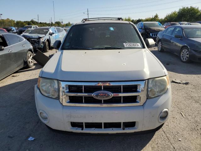 1FMCU03G19KA77354 - 2009 FORD ESCAPE XLT WHITE photo 5