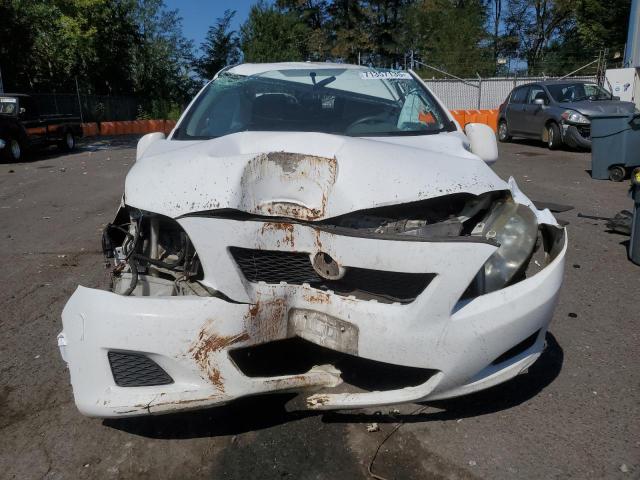 1NXBU4EE0AZ207874 - 2010 TOYOTA COROLLA BASE Biały zdjęcie 5