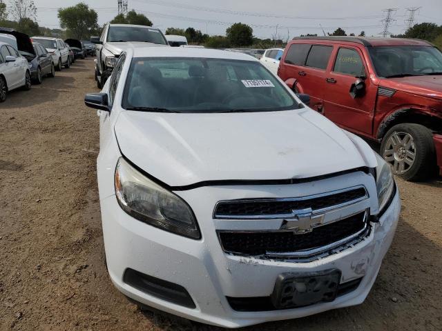 1G11B5SA8DF256951 - 2013 CHEVROLET MALIBU LS WHITE photo 5