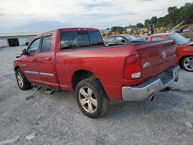 1D7RV1GT4AS256474 - 2010 DODGE RAM 1500 RED photo 2