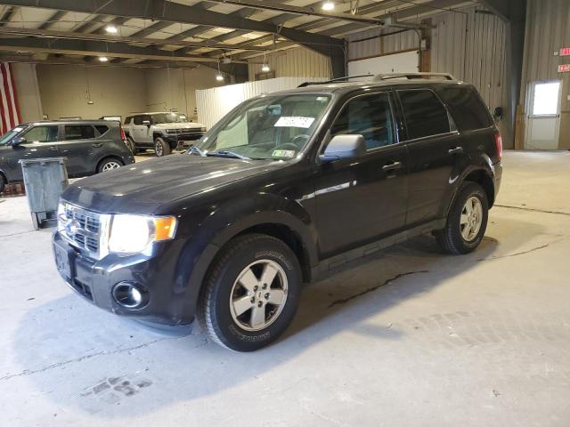 2011 FORD ESCAPE XLT, 
